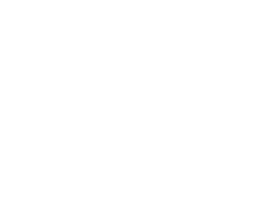 street_life_logo_title